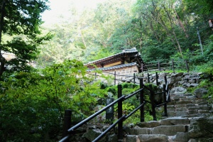 서산 아라메길.