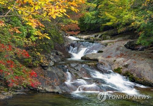 지난해 10월 중순 무주구천동 계곡[연합뉴스 자료사진]