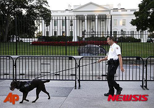 【워싱턴=AP/뉴시스】지난 2014년 9월22일 자료사진으로 미국 비밀경호국 요원이 워싱턴 백악관 밖에 있는 펜실베이니아 도로에서 개와 함께 순찰을 돌고 있다. 미 국방부 앞으로 치명적 독성물질 리신이 담긴 것으로 의심되는 소포 2개가 배달된데 이어 도널드 트럼프 대통령 앞으로도 리신이 담긴 것으로 의심되는 편지가 발송돼 미 비밀경호국이 조사 중이라고 CBS가 2일 보도했다. 2018.10.3