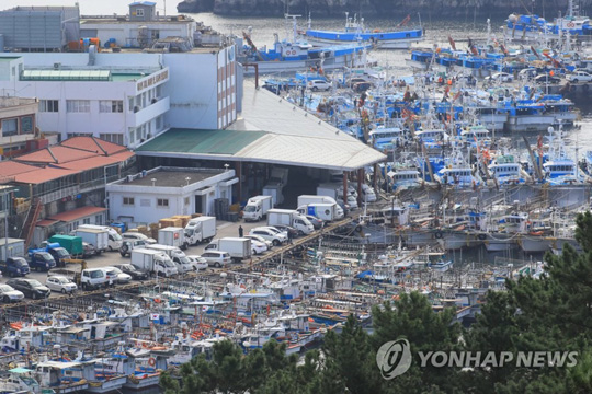 (서귀포=연합뉴스) 제주를 향해 제25포 태풍 ‘콩레이’가 북상 중인 4일 오전 제주 서귀포항에 평소보다 많은 어선들이 정박해 있다. 2018.10.4