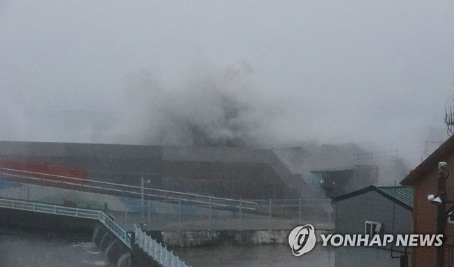 너울성 파도치는 여수 오동도 방파제