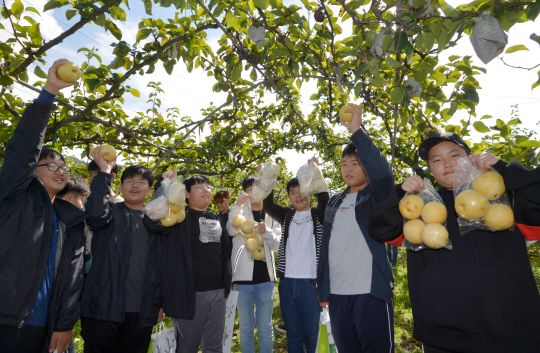 삼남중학교 학생들이 자신이 딴 배를 들어보이고 있다.