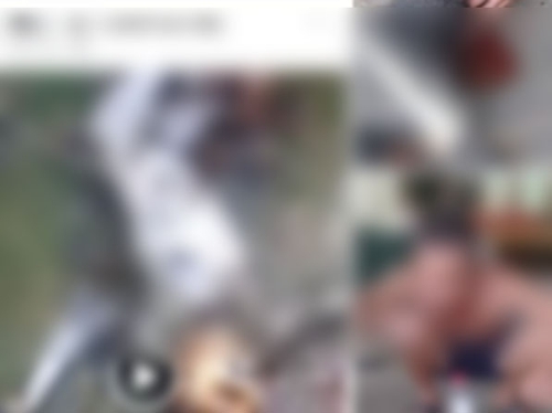 ‘엽기’ 베트남 아저씨들, 원숭이 도살해 골 먹는 장면 생중계 [뚜오이쩨 캡처]