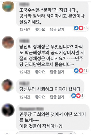 조응천 더불어민주당 의원이 자신의 페이스북을 통해 조국 청와대 민정수석의 사퇴를 촉구하자 문재인 대통령의 열성 지지자들이 항의와 비난을 담은 댓글을 올려놓았다.  조 의원 페이스북 캡처