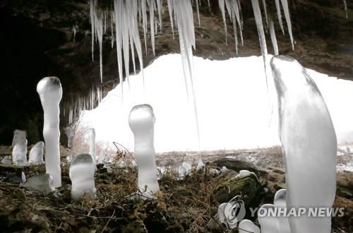 (제천=연합뉴스)  11일 오전 충북 제천시 덕산면 보덕굴 내부에 ‘역(逆)고드름’이 생겨 이색적인 풍경을 연출하고 있다. 2018.12.11