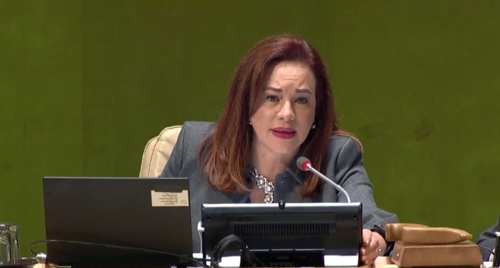 마리아 페르난다 에스피노사 유엔총회 의장[유엔웹TV 캡처=연합뉴스]