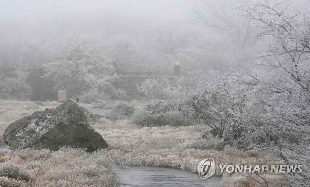 눈 내린 한라산 1100고지[연합뉴스 자료사진]