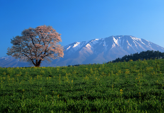 치바 가츠스케가 촬영한 일본의 이와테산(岩手山) 풍경. 경인미술관 제공