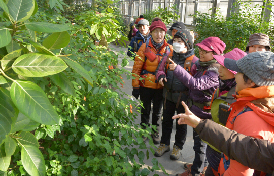 지난 22일 서울 노원구 중계동 산 42-3 불암산 나비 정원을 방문한 지역 주민들이 풀잎에 앉은 나비를 관찰하고 있다.  김낙중 기자 sanjoong@