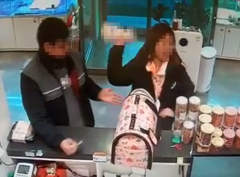 3개월 된 몰티즈 던진 분양인[강릉 한 애견분양 가게 제공]