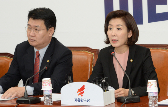 나경원(오른쪽) 자유한국당 원내대표가 13일 오전 국회에서 열린 원내대표·중진의원 연석회의에서 모두발언을 하고 있다. 왼쪽은 정용기 정책위의장.  김호웅 기자