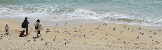 고운 모래가 깔린 부산 송정해수욕장의 백사장. 송정해수욕장은 마천루와 휘황한 불빛에 포위된 해운대나 광안리와는 달리 아직 옛 해변의 모습을 간직하고 있다.