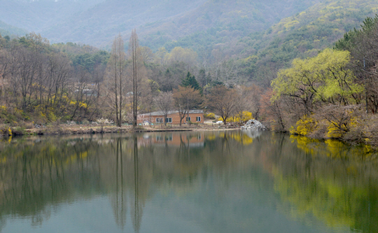 물과 어우러진 봄 신록이 아름다운 송곡소류지. 동학사와 가깝다.