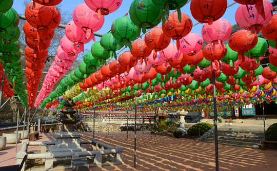 계곡 한쪽에 들어선 동학사. 좁은 대웅전 마당에 연등이 촘촘하게 걸렸다.