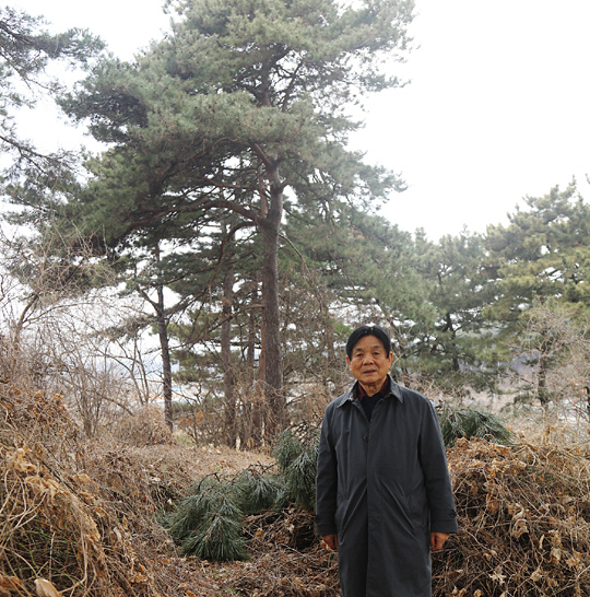 이근배 시인이 고향인 충남 당진의 봉화산에 올랐다. 이 시인이 당진에서 보낸 유년 시절은 좌우익 대립이 극심한 시기로 봉화산에서는 횃불이 오르고 만세 소리가 들려오는 일이 잦았다.  이근배 제공