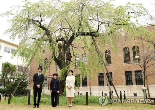 히사히토 왕자가 지난 8일 중학교 입학식 날 교정에서 아버지 후미히토, 어머니 기코 왕자빈과 포즈를 취하고 있다. [교도=연합뉴스 자료사진]