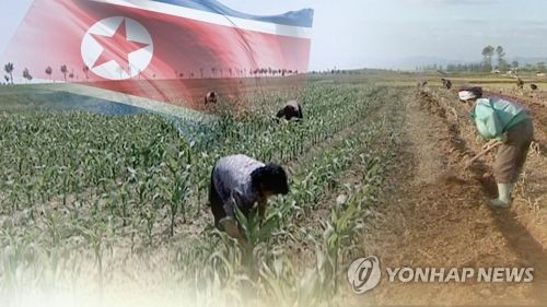 북한의 식량 상황(CG) [연합뉴스TV 제공]
