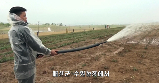 북한 조선중앙TV는 지난 15일 한 농부가 황해남도 배천군 농장에서 밭에 물을 뿌리는 장면을 방영하며 “가뭄으로 인해 많은 포전(밭)에서 밀·보리 잎이 마르고 강냉이(옥수수) 포기가 피해를 입었다”고 보도했다. 연합뉴스