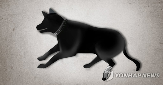 유기견·개 동물 학대 (PG)