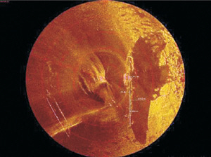 ‘소나’로 탐지한 침몰 유람선 모습.