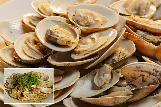 바지락보다 표면이 두껍고 부드러운 비단조개를 강릉에서는 ‘째복’이라고 부른다. 왼쪽 작은 사진은 우드 힐 대표 메뉴인 째복스파게티.