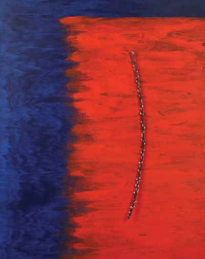 붉은 장미가 다녀간 흔적