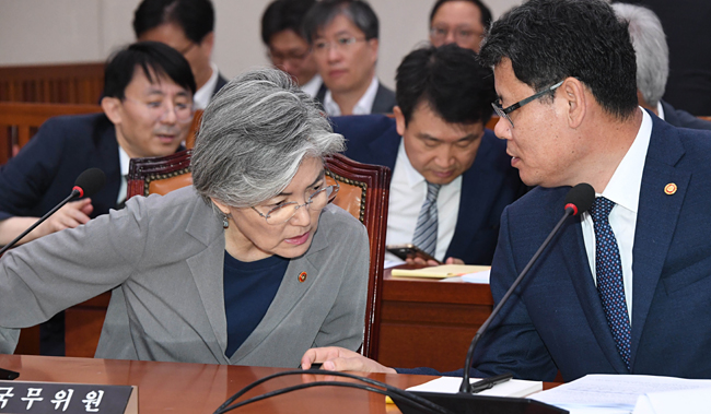 강경화(왼쪽) 외교부 장관이 30일 오전 국회 외교통일위원회 전체회의에서 함께 출석한 김연철 통일부 장관과 이야기를 나누고 있다.