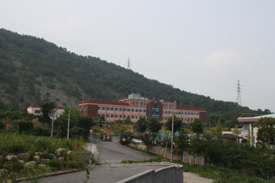 경남 창원시 진해구 두동 웅동중학교 교정.  박영수 기자 buntle@
