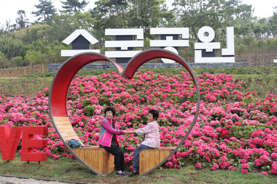 지난 6월 전남 신안군 도초도에서 열린 제1회 섬 수국 축제를 찾은 관광객들이 수국을 배경으로 기념사진을 찍고 있다.  신안군청 제공