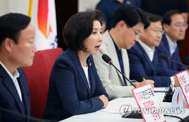 (서울=연합뉴스) 자유한국당 나경원 원내대표가 28일 여의도 국회에서 열린 정개특위 관련 기자 브리핑에서 발언하고 있다. 2019.8.28