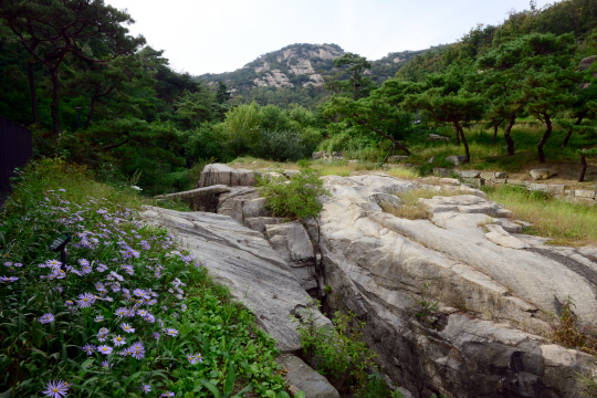 <조은의 도시산책>주택가 맞닿은 친근한 山 …339m 높지 않아도 깊은 매력