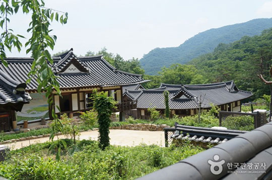 한국관광공사가 추천하는 순천야생차체험관 전경.