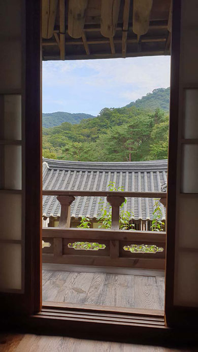 순천야생차체험관에서 차를 마시다가 문득 밖을 바라보면 조계산 가을이 선연하게 다가온다. 장재선 선임기자.