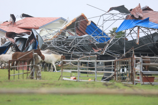 2일 제주 서귀포시 성산읍 신풍리의 한 목장의 마사 지붕이 한반도를 향해 북상중인 제18호 태풍 ‘미탁’의 영향으로 파괴돼 철재 골조가 앙상하게 드러나 있다. 연합뉴스