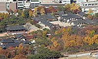 <조은의 도시산책>울창한 빌딩 숲속, 깊이 뿌리내린 우리네 삶