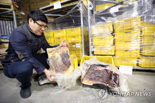 고래고기 불법 유통 적발[연합뉴스 자료사진]