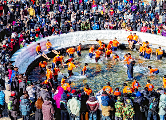 축제의 최고 인기 프로그램인 ‘산천어 맨손 잡기’ 체험.  화천군청 제공
