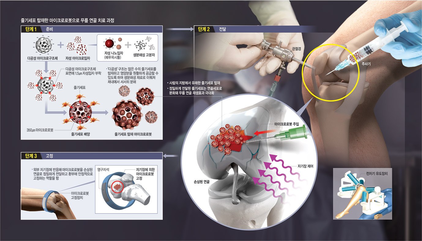 그래픽 = 전승훈 기자