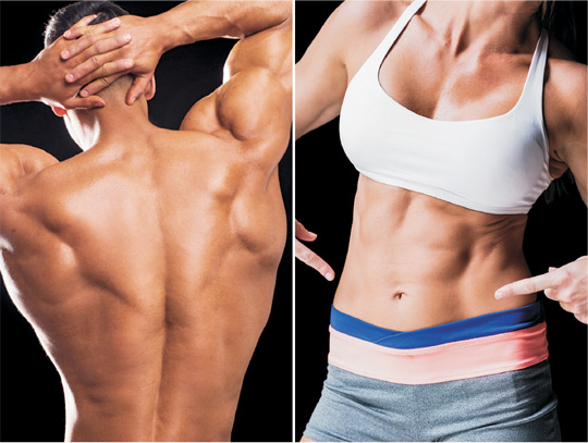 코로나19 감염으로부터 자신을 지킬 수 있는 면역력 강화 비결에 대한 관심이 높아진 가운데 전문가들은 “신체 부위 중 등과 장 건강에 신경을 써야 면역력을 높일 수 있다”고 제언하고 있다.  게티이미지뱅크