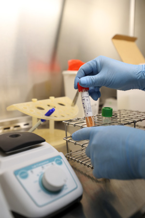 광주시보건환경연구원 생물안전밀폐실험실에서 직원이 분석을 위해 코로나19 검체를 확인하고 있는 모습.  연합뉴스