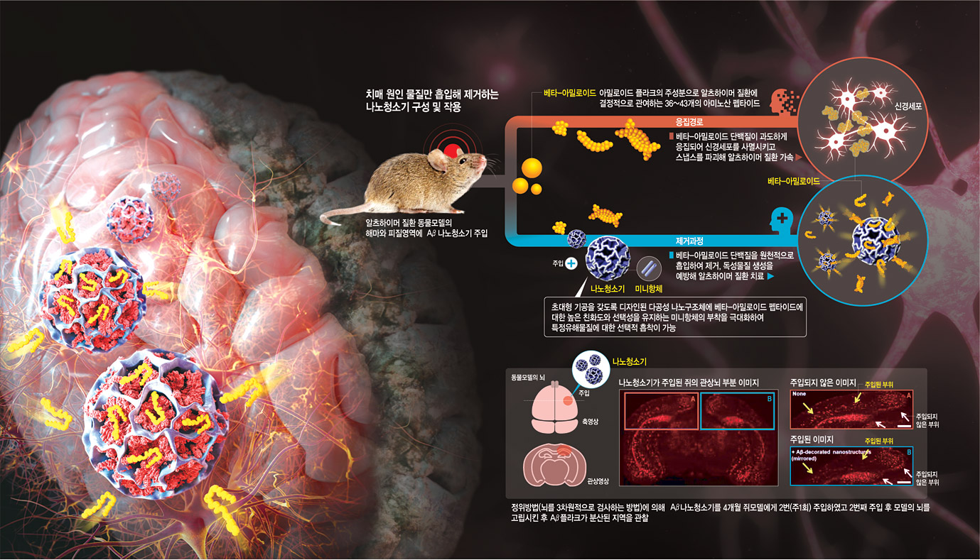 그래픽 = 전승훈 기자