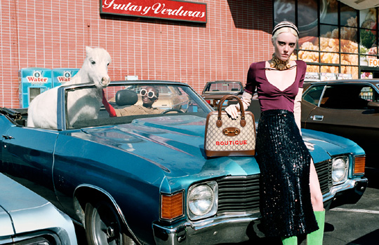 많은 명품 브랜드가 이전에 유행했던 로고나 제품 디자인을 새롭게 선보여 젊은 세대의 시선을 사로잡고 있다. 사진은 구찌 1955 홀스빗 광고.  구찌 제공