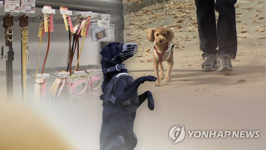 “반려견 목줄•입마개 꼭 하세요” (CG) [연합뉴스TV 제공]