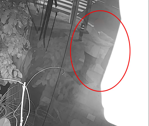 여성 성추행하는 부산지검 부장검사 A씨(빨간색 원) [독자 제공. 재판매 및 DB 금지]