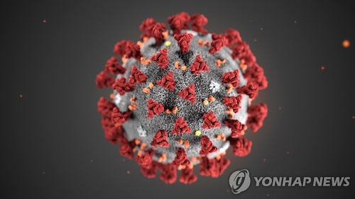 코로나19 바이러스 외부구조를 3D로 구현한 이미지[EPA=연합뉴스 자료사진]