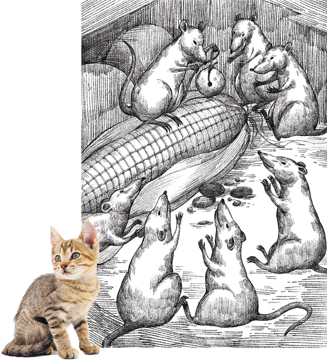 일러스트 = 이철형 작가