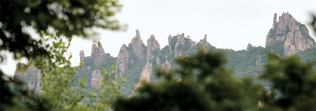 강진 월출산 아래에는 백운동 원림이 있다. 이곳에서 하룻밤 묵어간 다산이 화첩을 만들었을 정도로 매료됐던 공간이다. 다산은 원림 주변의 경관을 골라서 ‘백운동 12경’을 정했는데, 그중 ‘제1경’이 기기묘묘한 바위로 솟은 월출산의 봉우리 ‘옥판봉’이다. 백운동 원림의 담장 밖 언덕에 세운 정자 정선대에서 올려다본 옥판봉의 모습.