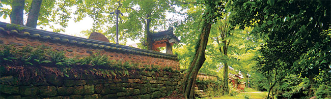 계곡을 끼고 있는 백운동 원림의 긴 흙담. 원림은 앞으로는 짙은 동백숲을, 뒤로는 대숲을 두르고 있다. 월출산과 백운동 원림 사이에는 또 구릉을 넘어가는 거대한 차밭이 펼쳐져 있다.