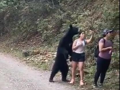 [트위터(@abcnoticiasmx 등) 영상 캡처