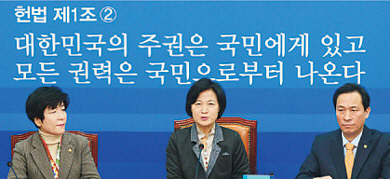 2016년 ‘최순실 국정 농단 사태’ 당시  헌법1조를 내세운 더불어민주당 백드롭. 뉴시스